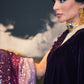Midnight velvet sari