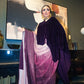 Midnight velvet sari